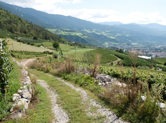 Sentiero del vino e delle mele Valle Isarco