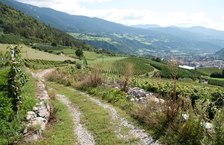 La spledida vista su Bressanone