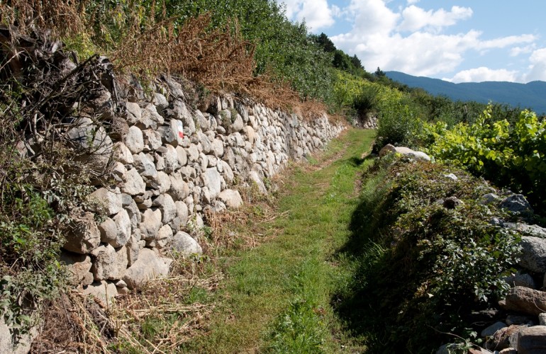 Alte Trockenmauern zeugen von der langen Nutzung