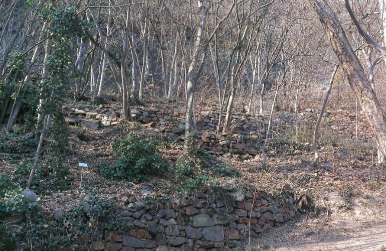 Typische Buschwald-Vegetation entlang des Weges