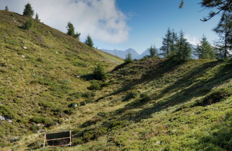 Gelände Sonnenpark unterhalb der Bergstation