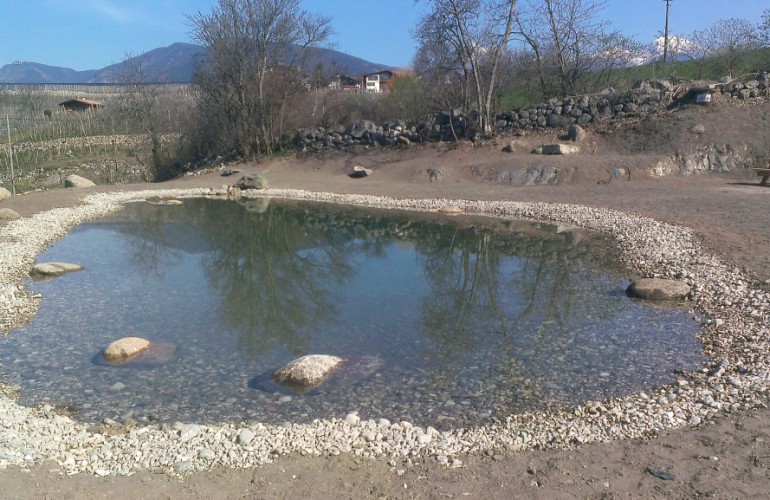 Veduta totale - Stagno naturale