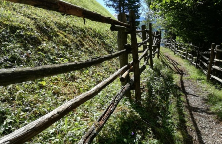 Traditionelle Zäune  - Spiluck